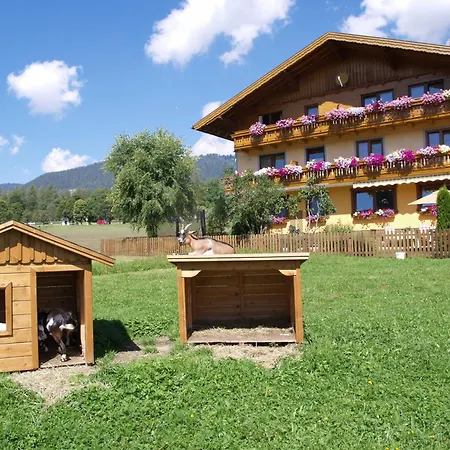 Apartament Alpenecho