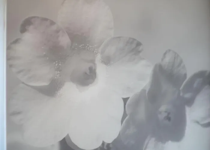 Alpenecho Ramsau am Dachstein