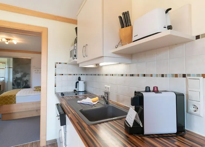 Appartement Alpenecho Ramsau am Dachstein